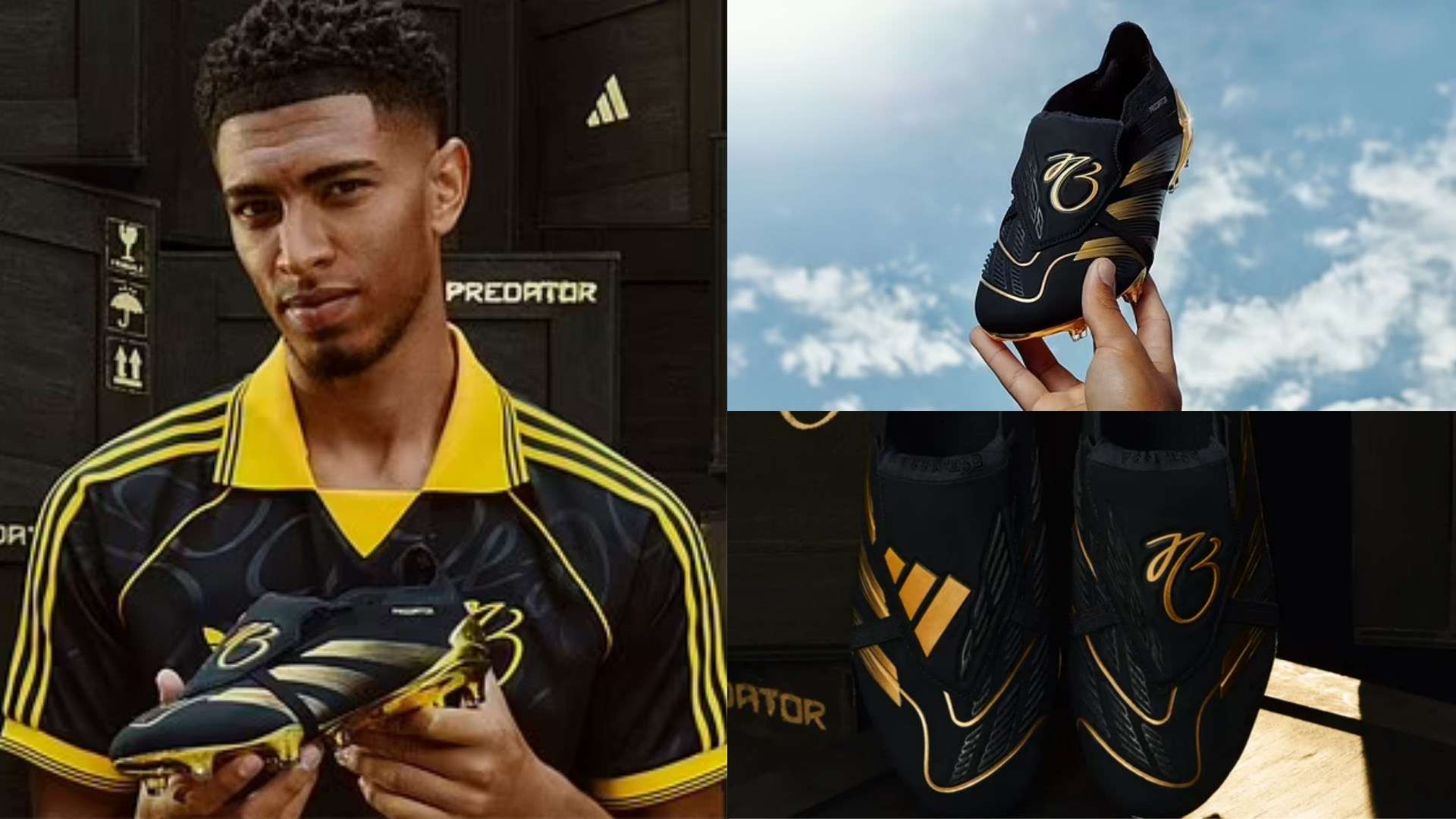 期待这场震 期待这场震