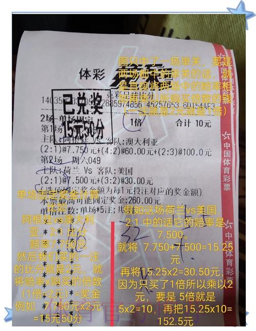世界杯买球:专业解读热门投注选项 世界杯买球:专业解读热门投注选项